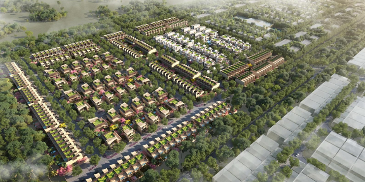 Greenwood-Royal-at-Al-Ain-10.png