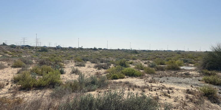 Residential-Plot-in-Dubai-International-Academic-City-4.png